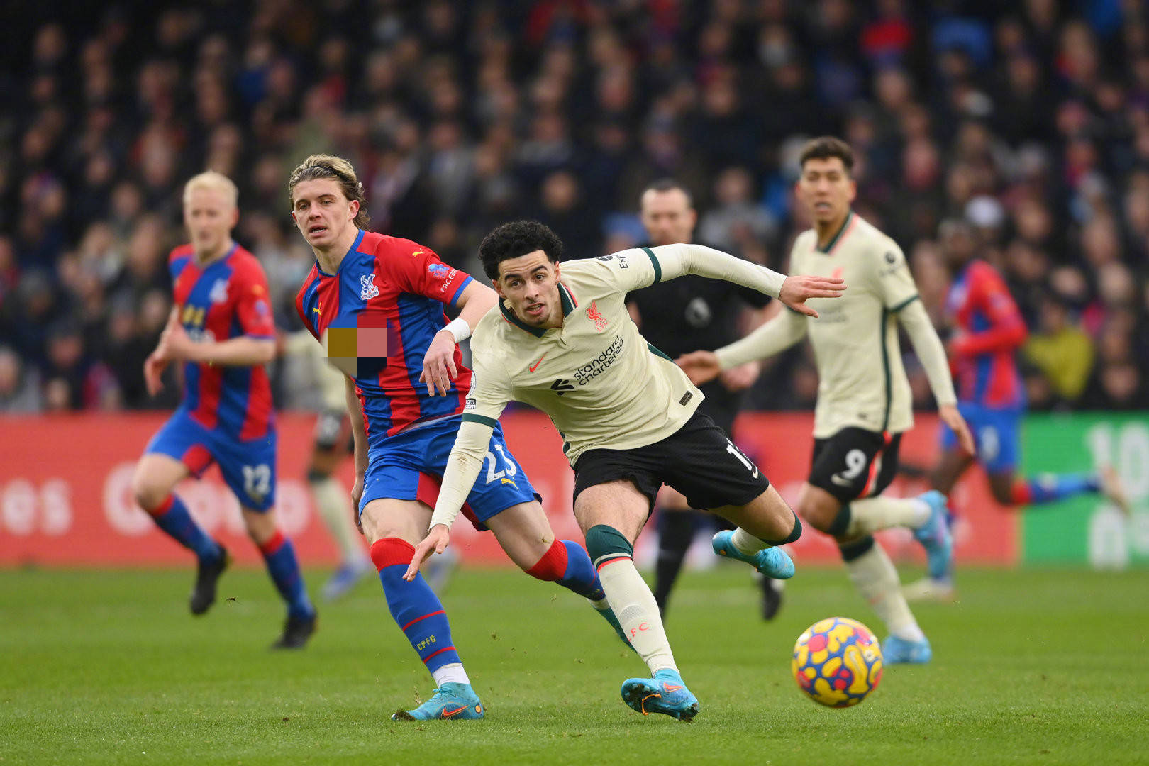 今已成为全 今已成为全